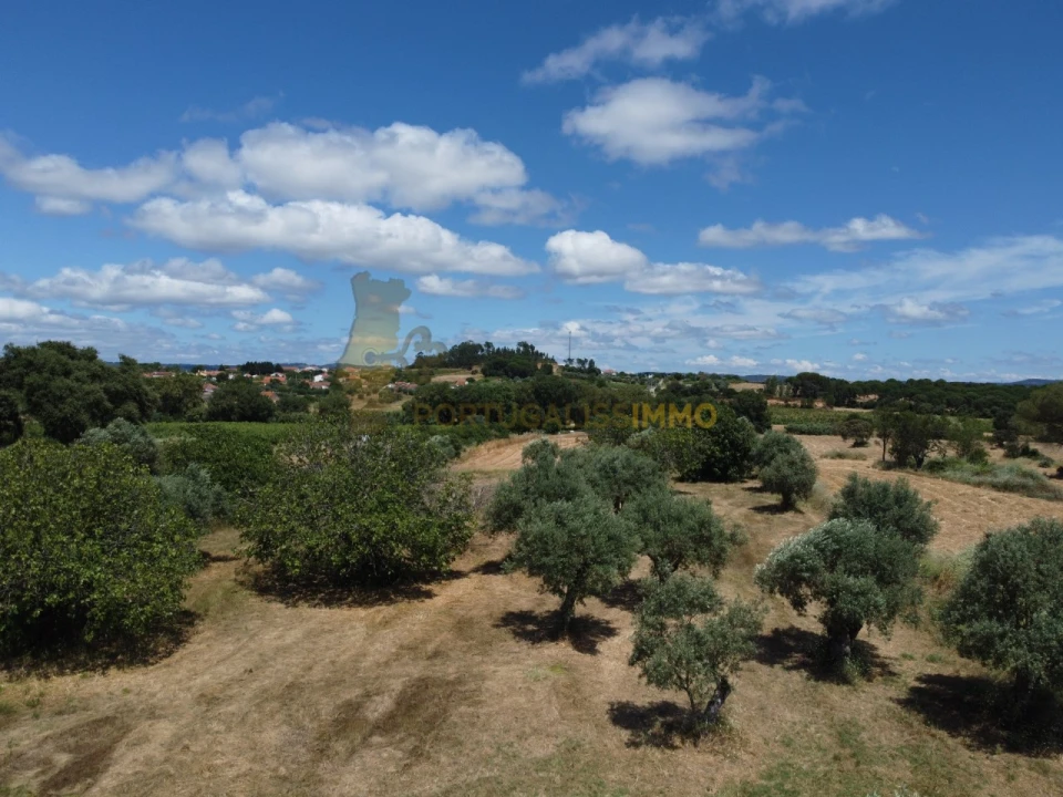 Quinta T1 para Venda em Madalena e Beselga Foto 30