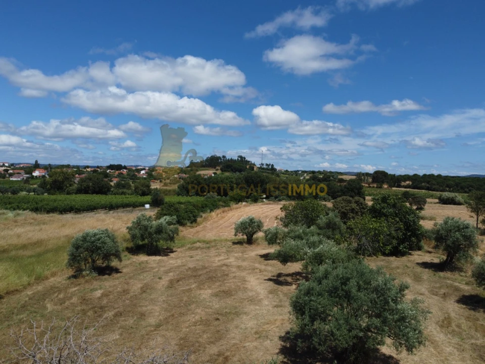Quinta T1 para Venda em Madalena e Beselga Foto 31