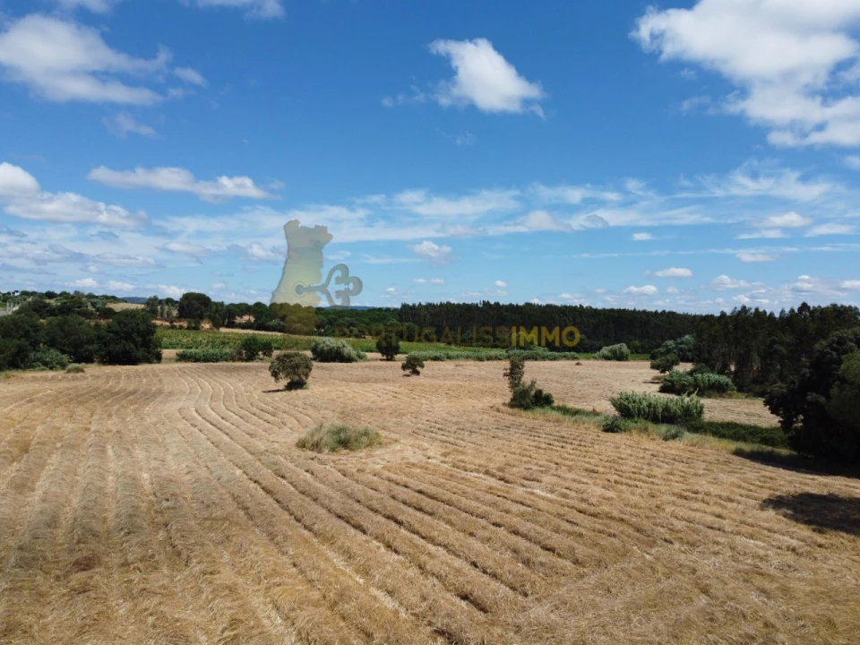 Quinta T1 para Venda em Madalena e Beselga Foto 34