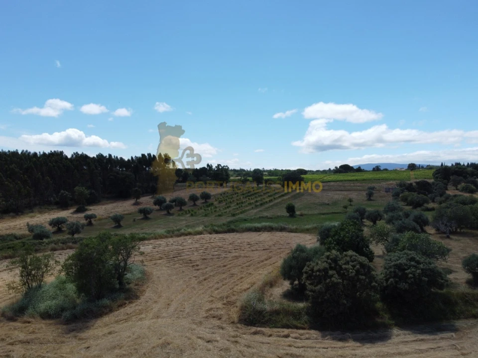 Quinta T1 para Venda em Madalena e Beselga Foto 35