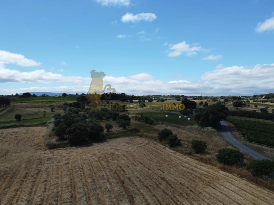 Quinta T1 para Venda em Madalena e Beselga Foto 36