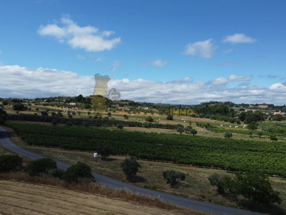 Quinta T1 para Venda em Madalena e Beselga Foto 37