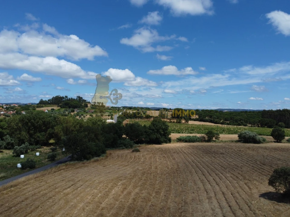 Quinta T1 para Venda em Madalena e Beselga Foto 38