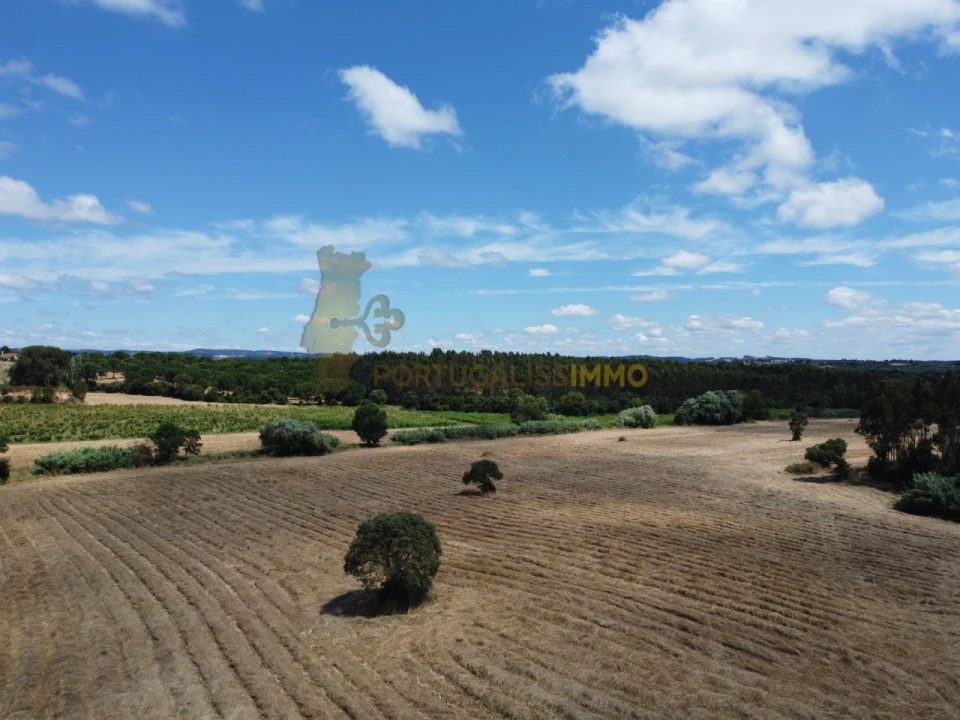 Quinta T1 para Venda em Madalena e Beselga Foto 39