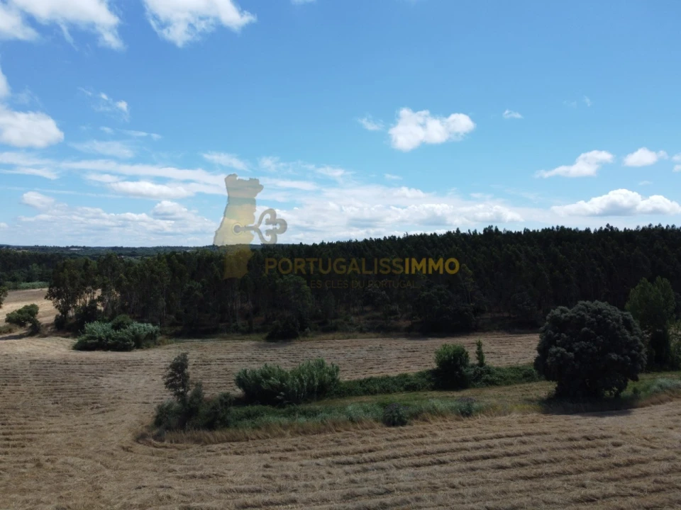 Quinta T1 para Venda em Madalena e Beselga Foto 40