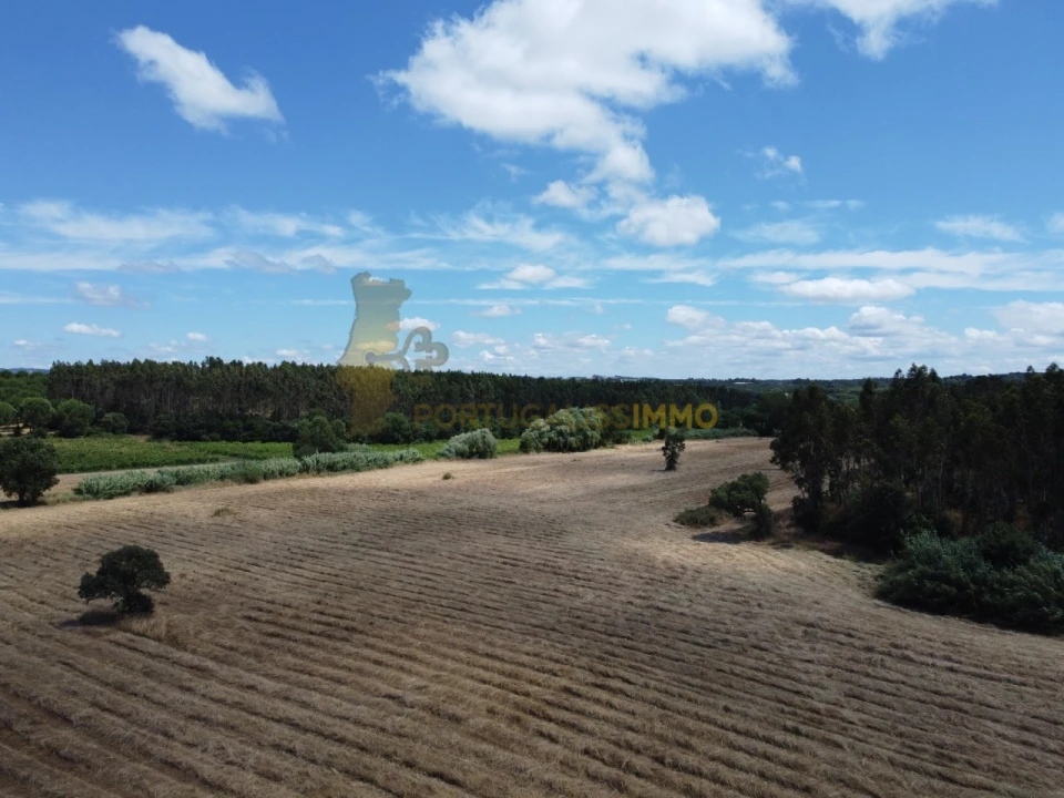 Quinta T1 para Venda em Madalena e Beselga Foto 42