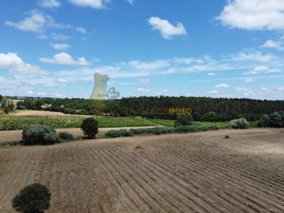 Quinta T1 para Venda em Madalena e Beselga Foto 43