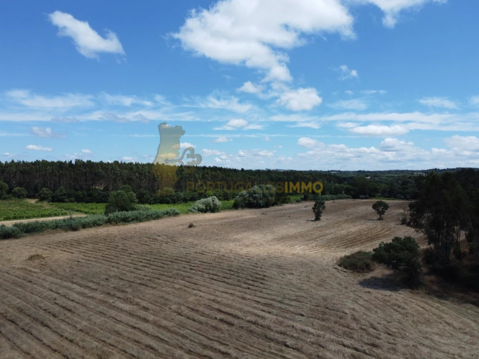 Quinta T1 para Venda em Madalena e Beselga Foto 44