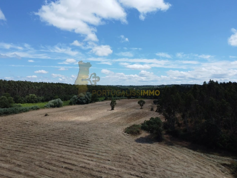 Quinta T1 para Venda em Madalena e Beselga Foto 45