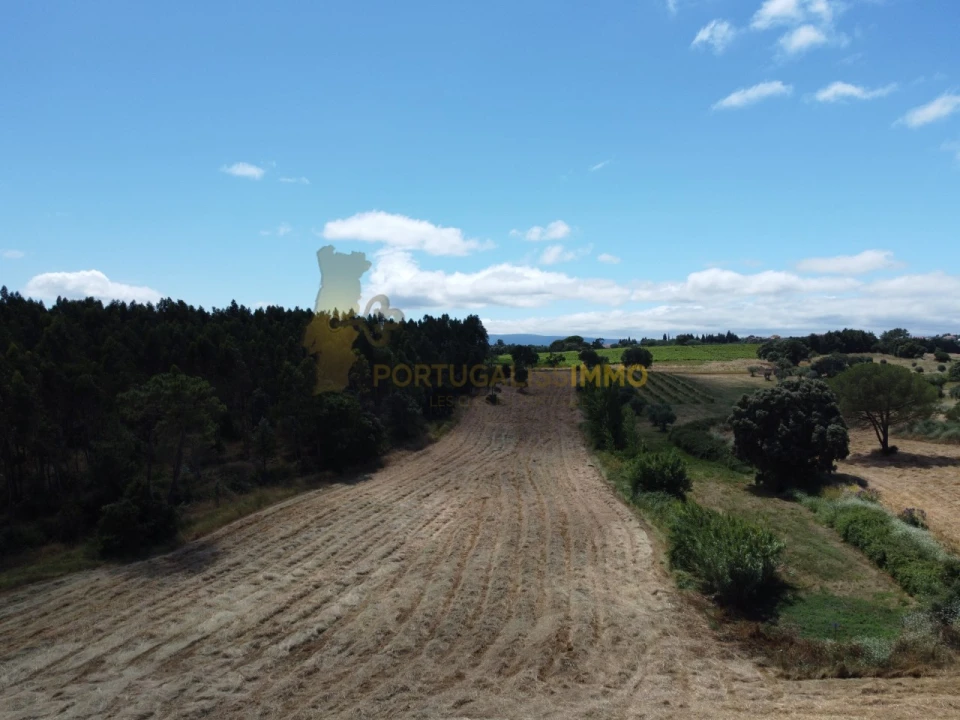 Quinta T1 para Venda em Madalena e Beselga Foto 46