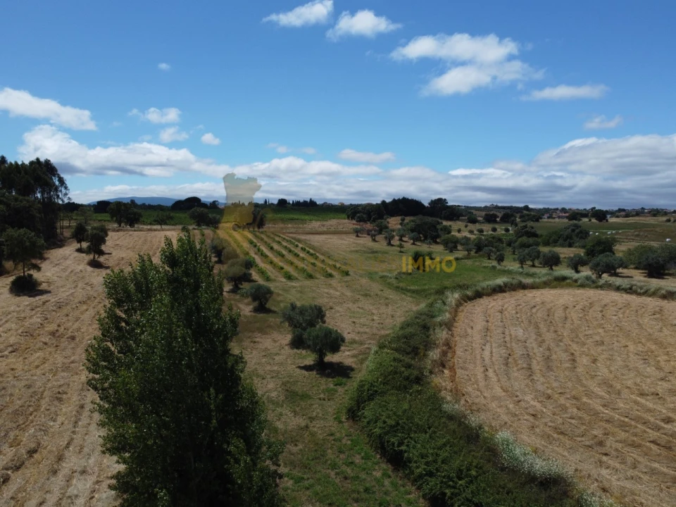 Quinta T1 para Venda em Madalena e Beselga Foto 49