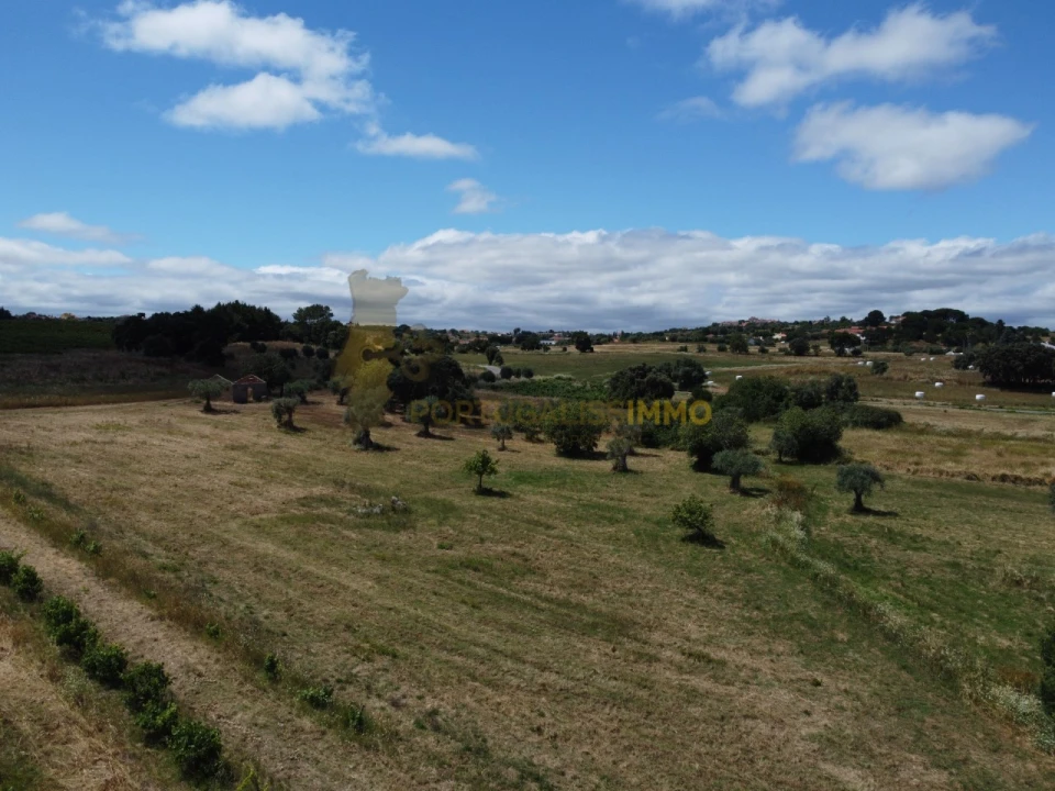 Quinta T1 para Venda em Madalena e Beselga Foto 53
