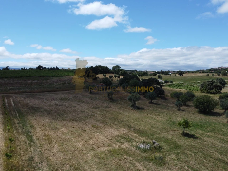 Quinta T1 para Venda em Madalena e Beselga Foto 54