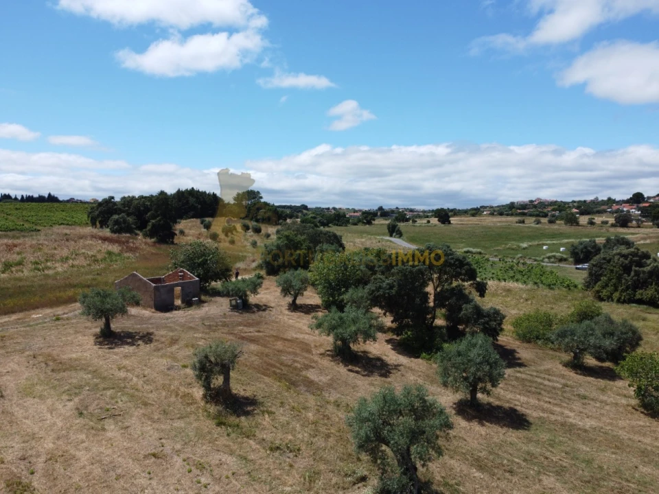 Quinta T1 para Venda em Madalena e Beselga Foto 56