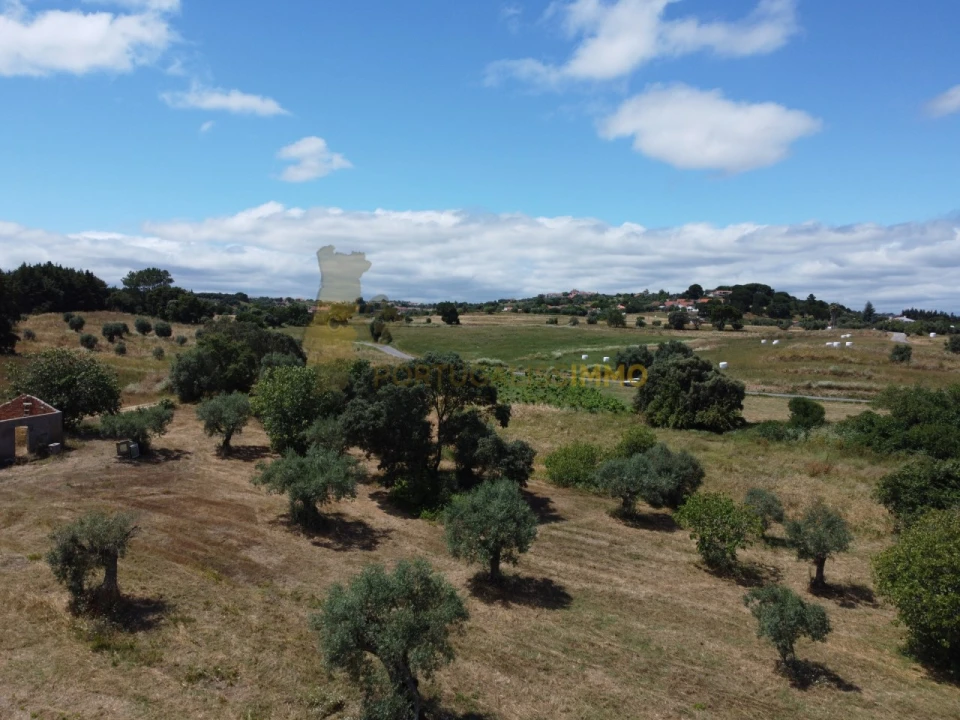 Quinta T1 para Venda em Madalena e Beselga Foto 57