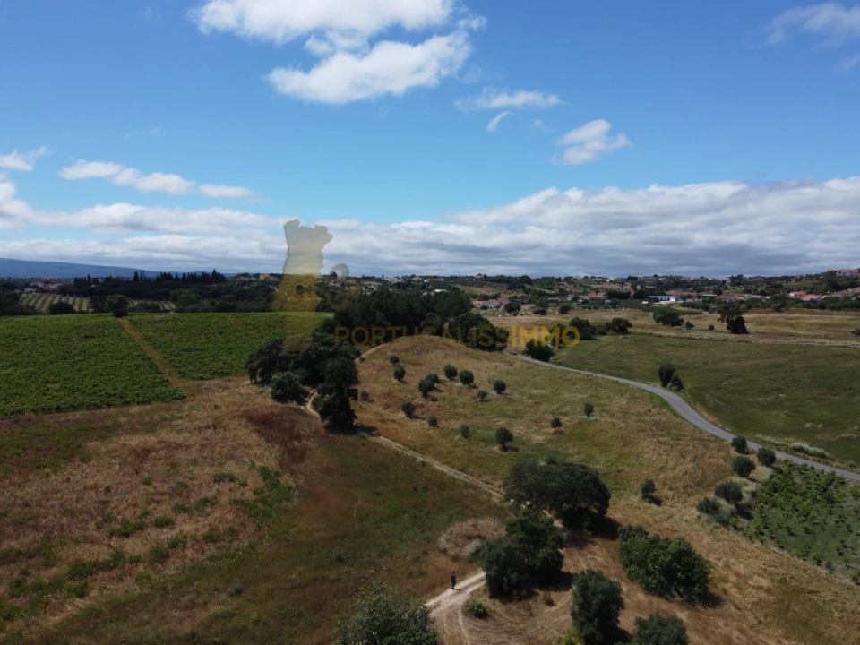 Quinta T1 para Venda em Madalena e Beselga Foto 59