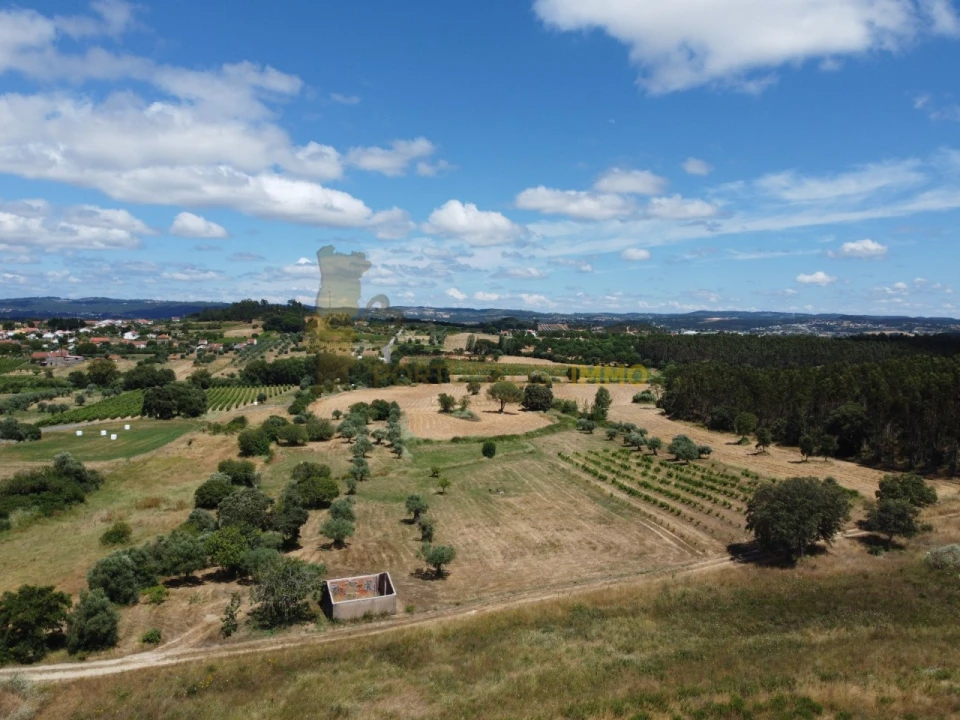 Quinta T1 para Venda em Madalena e Beselga Foto 60