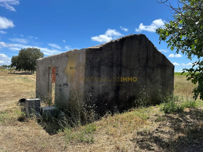 Quinta T1 para Venda em Madalena e Beselga Foto 2