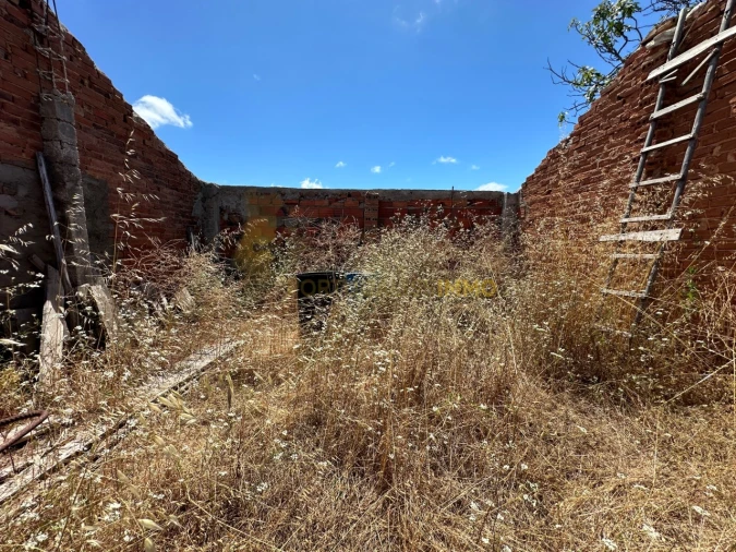 Quinta T1 para Venda em Madalena e Beselga Foto 6