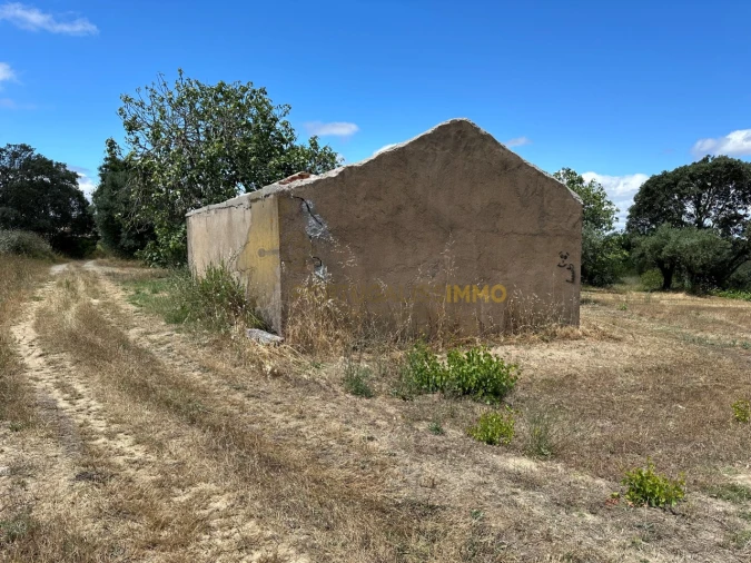 Quinta T1 para Venda em Madalena e Beselga Foto 3