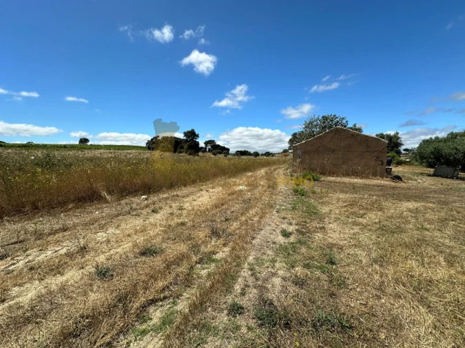 Quinta T1 para Venda em Madalena e Beselga Foto 13