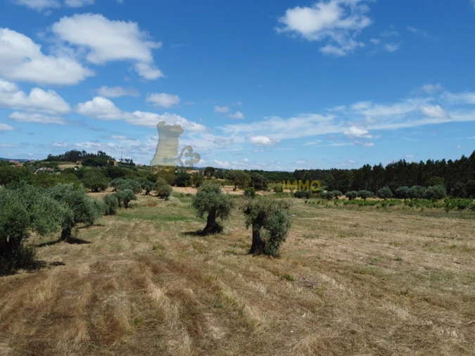 Quinta T1 para Venda em Madalena e Beselga Foto 14