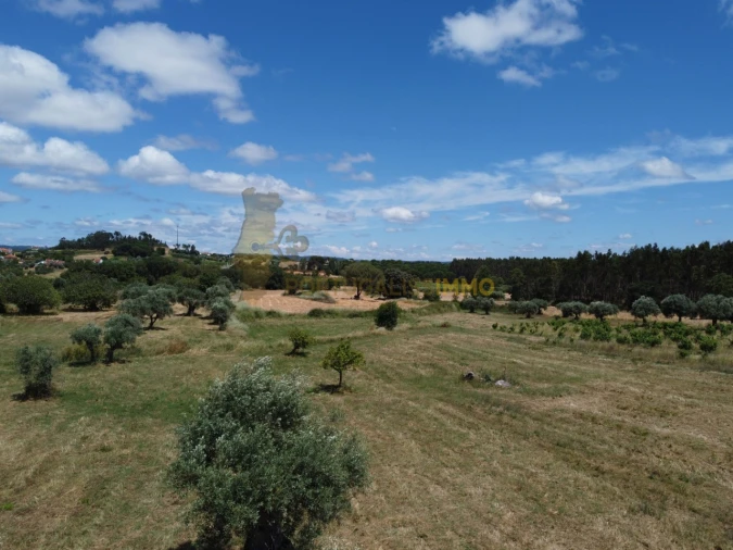Quinta T1 para Venda em Madalena e Beselga Foto 15