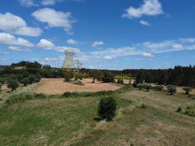 Quinta T1 para Venda em Madalena e Beselga Foto 17