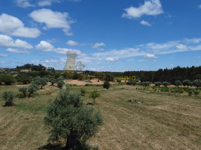 Quinta T1 para Venda em Madalena e Beselga Foto 18