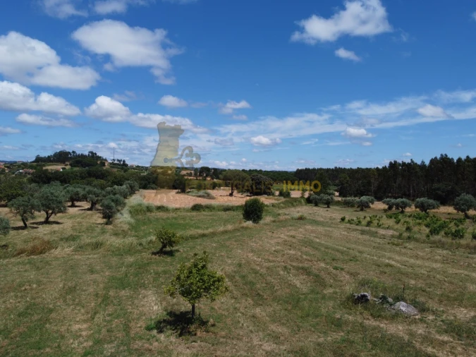 Quinta T1 para Venda em Madalena e Beselga Foto 19