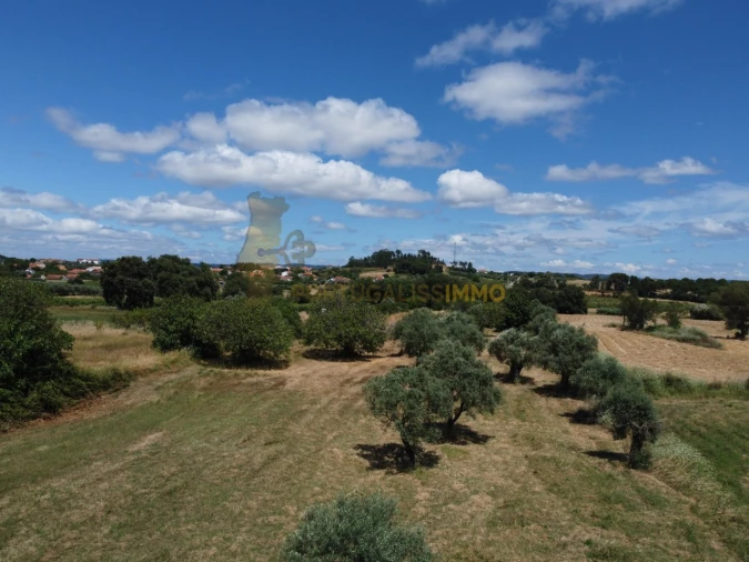 Quinta T1 para Venda em Madalena e Beselga Foto 27