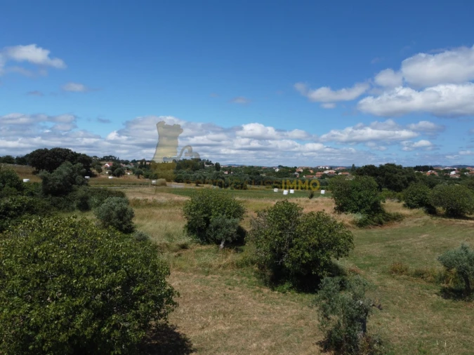 Quinta T1 para Venda em Madalena e Beselga Foto 28
