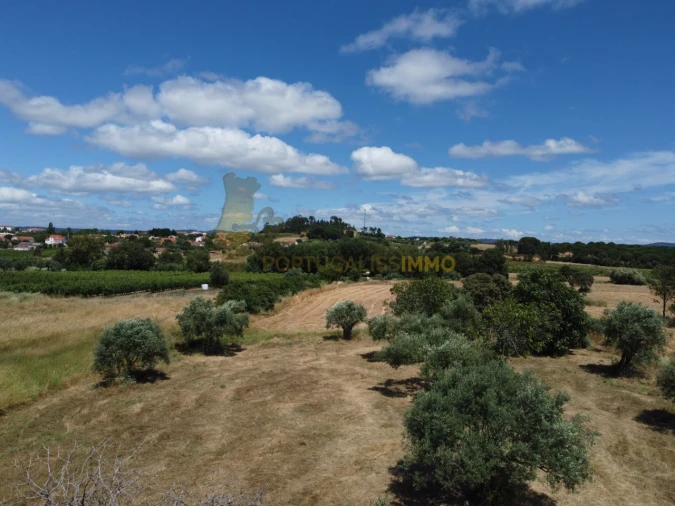 Quinta T1 para Venda em Madalena e Beselga Foto 31
