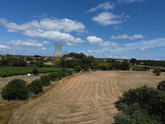 Quinta T1 para Venda em Madalena e Beselga Foto 32
