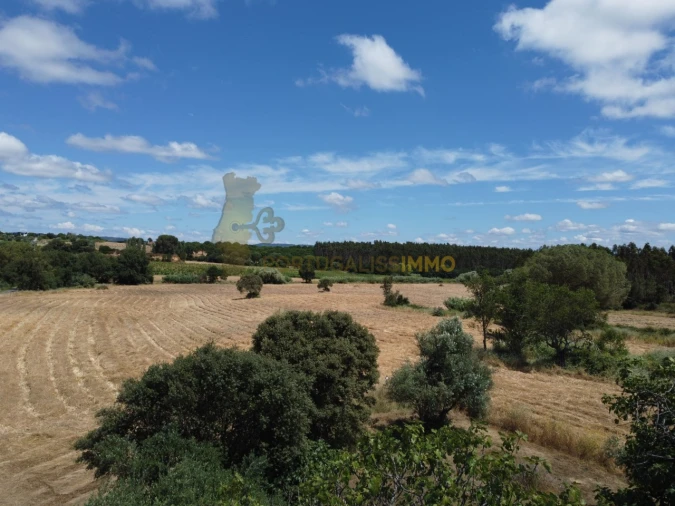 Quinta T1 para Venda em Madalena e Beselga Foto 33