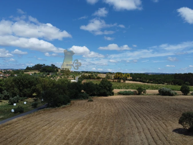 Quinta T1 para Venda em Madalena e Beselga Foto 38
