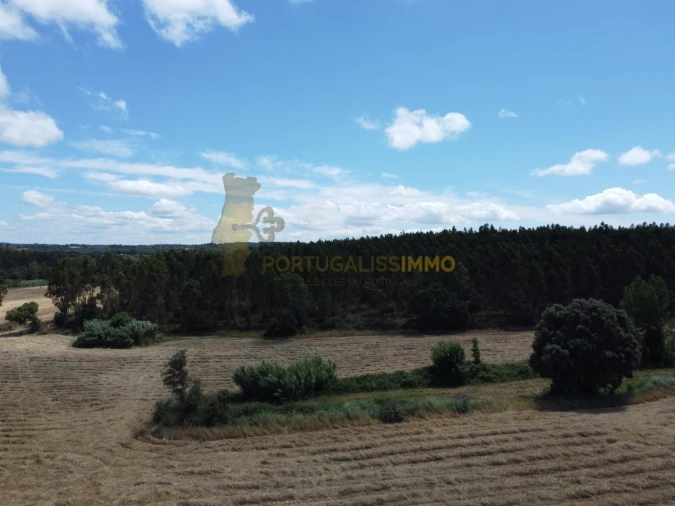 Quinta T1 para Venda em Madalena e Beselga Foto 40