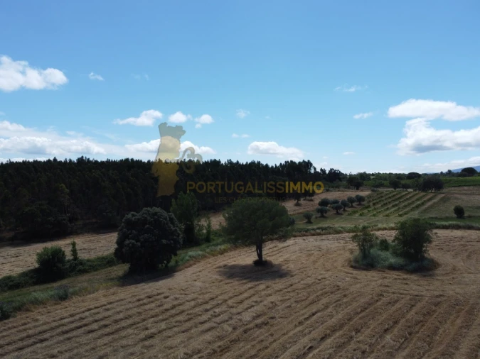 Quinta T1 para Venda em Madalena e Beselga Foto 41