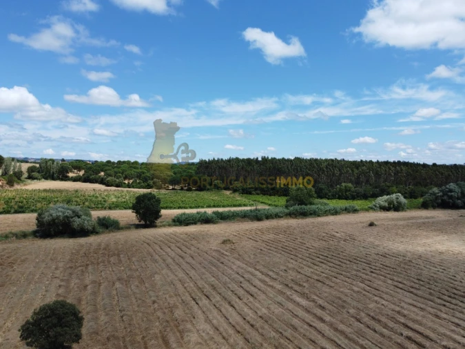 Quinta T1 para Venda em Madalena e Beselga Foto 43