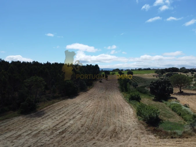 Quinta T1 para Venda em Madalena e Beselga Foto 46