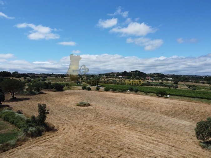 Quinta T1 para Venda em Madalena e Beselga Foto 47