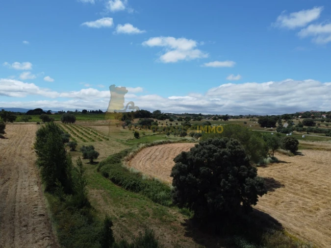 Quinta T1 para Venda em Madalena e Beselga Foto 48