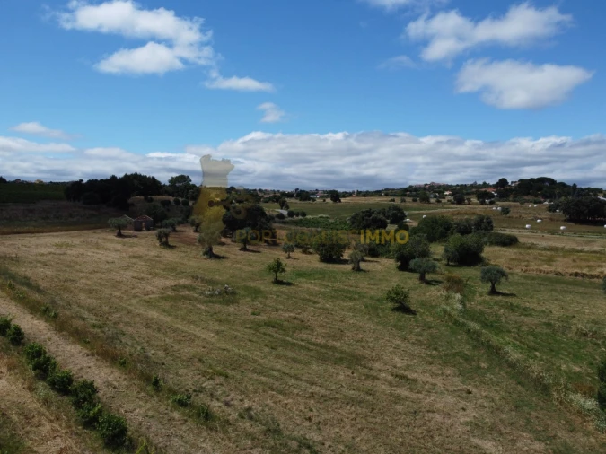 Quinta T1 para Venda em Madalena e Beselga Foto 53