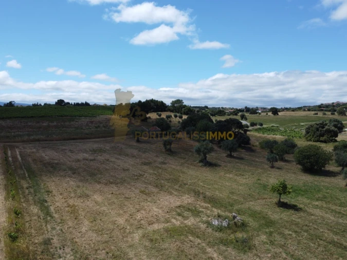 Quinta T1 para Venda em Madalena e Beselga Foto 54