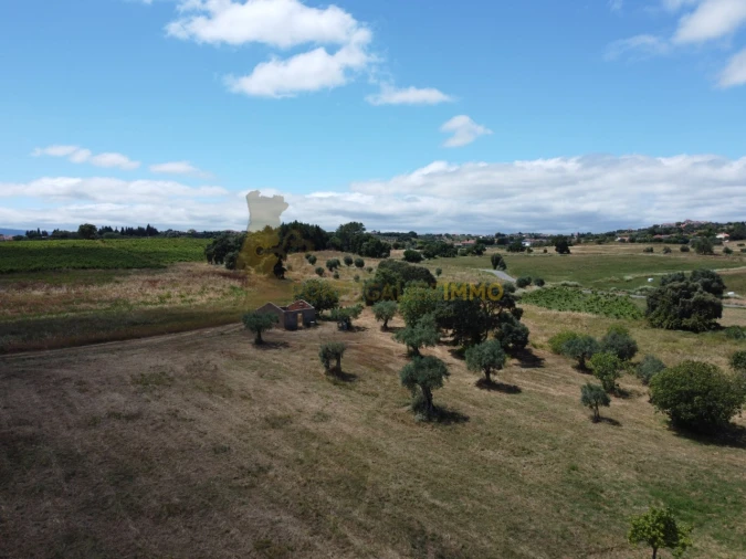 Quinta T1 para Venda em Madalena e Beselga Foto 55