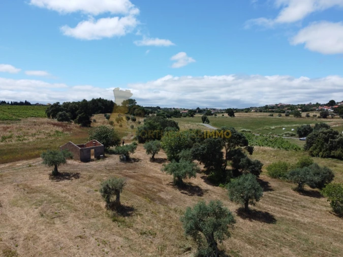 Quinta T1 para Venda em Madalena e Beselga Foto 56