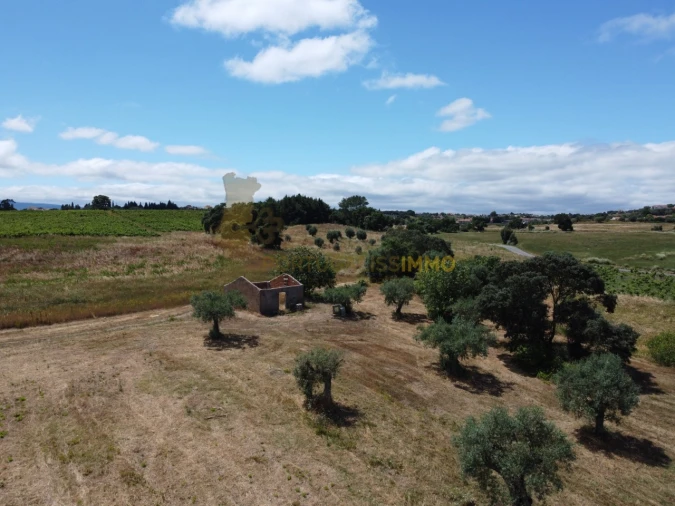 Quinta T1 para Venda em Madalena e Beselga Foto 58