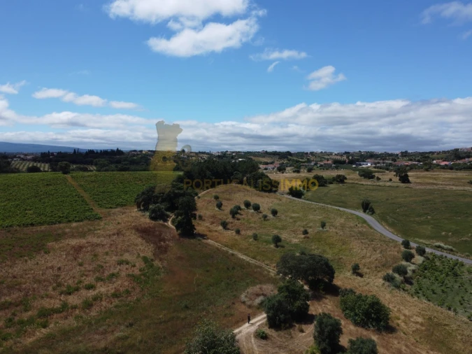 Quinta T1 para Venda em Madalena e Beselga Foto 59