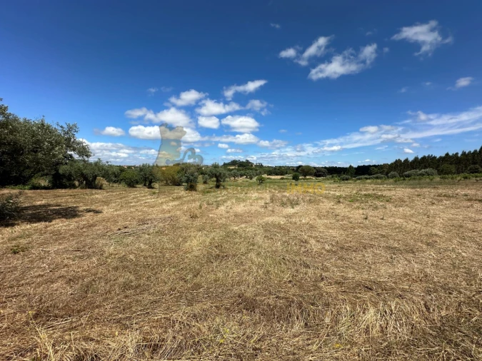 Quinta T1 para Venda em Madalena e Beselga Foto 61