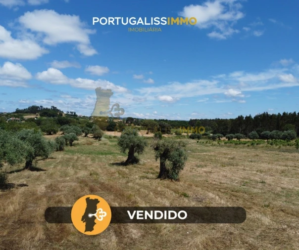 Quinta T1 para Venda em Madalena e Beselga